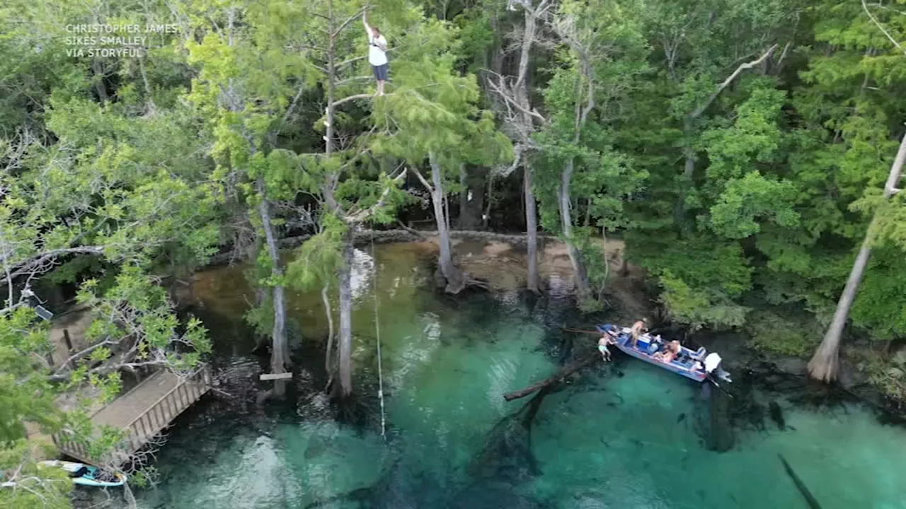 Florida man 'falls 60 feet' into spring after branch breaks: VIDEO