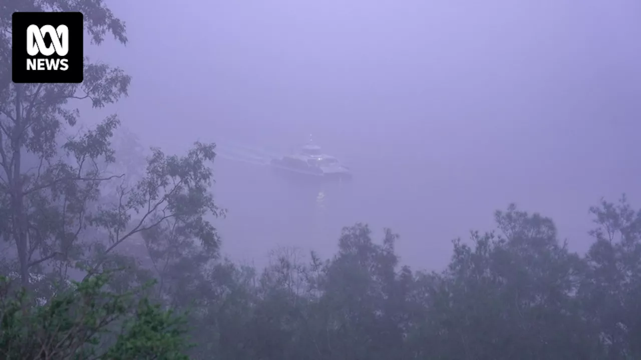 Large parts of Queensland blanketed by fog, causing visibility issues and domestic flight diversions