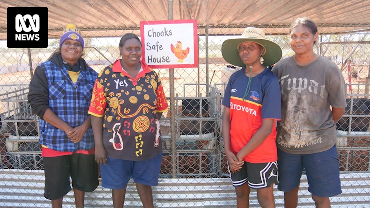 NT egg supply shortage prompts Ali Curung's Centrefarm to increase food security