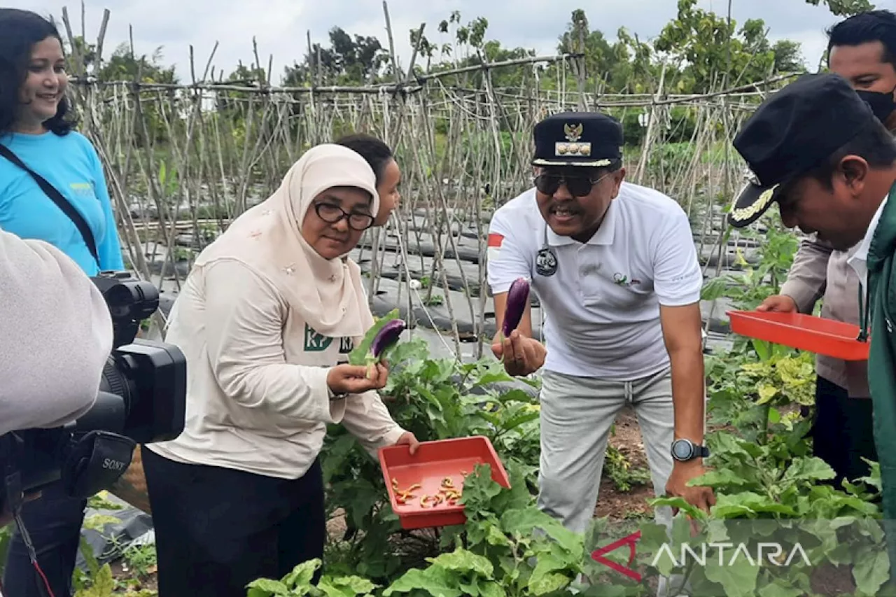 Kepulauan Seribu siapkan Pulau Tidung Kecil sebagai lumbung pangan