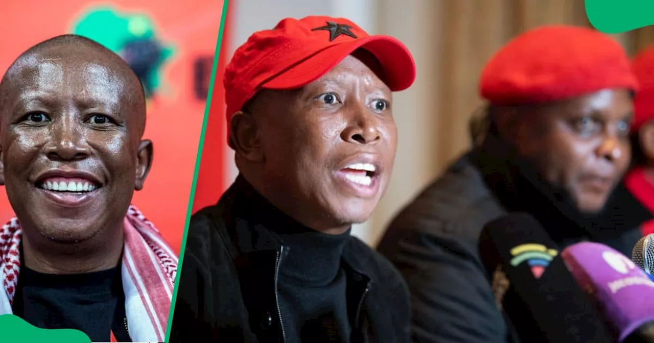 South Africans Slam Julius Malema’s Durban July Shoes Worth R27K