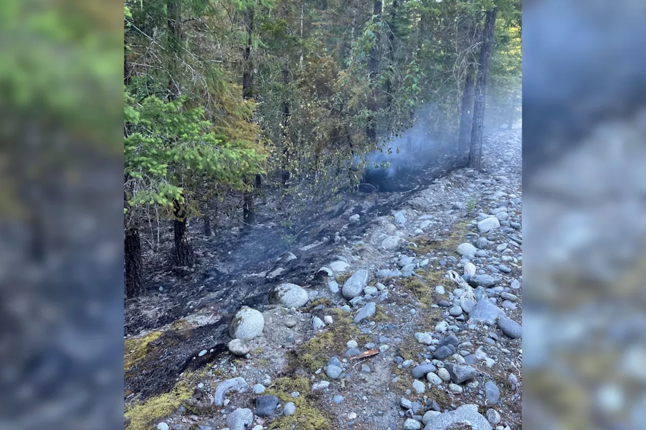 Firefighters douse wildfire near B.C. rec site