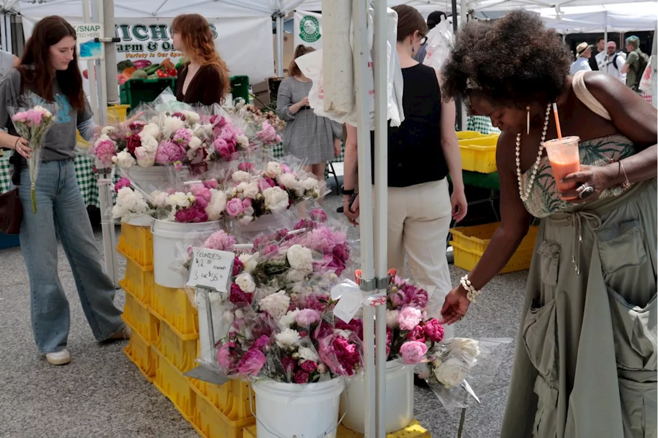 Guide: 64 farmers markets in Chicago and the suburbs for 2024