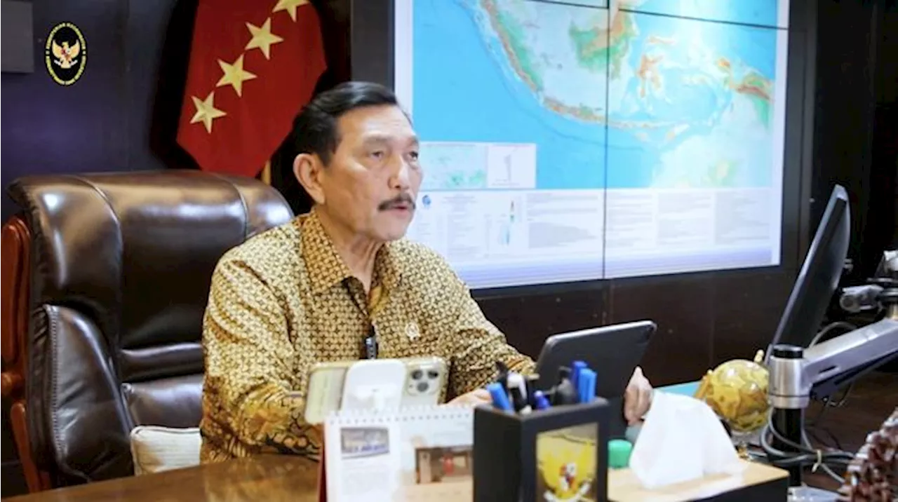 Luhut Blak-Blakan, Banyak Perusahaan Sawit Tak Punya NPWP