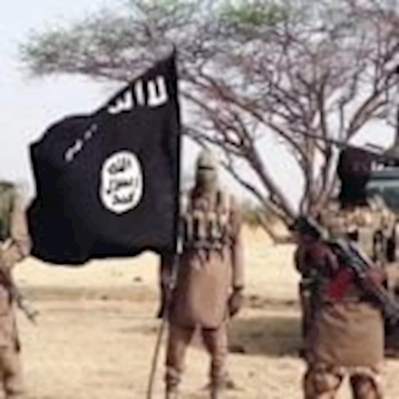 69 Boko Haram terrorists, families surrender in two foreign countries