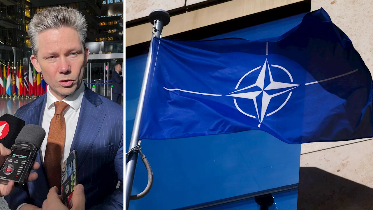 Nato Kan Minera Östersjön Markering Mot Ryssland Sverige Head Topics