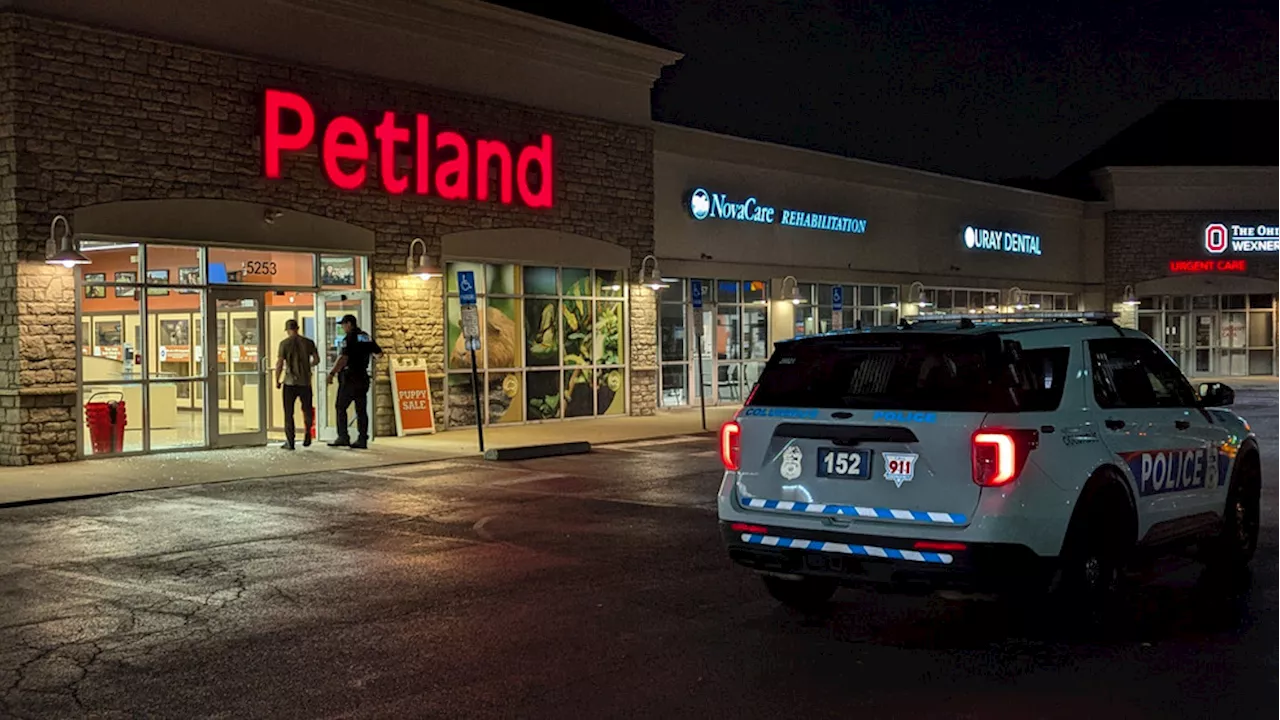 Break-ins reported at several stores in Hilliard; hamsters found in suspect's pants