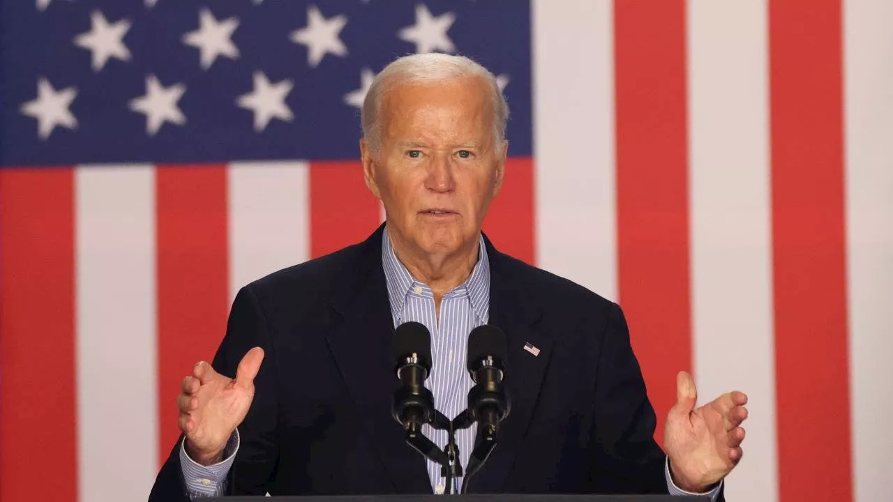 Democratic donor says Biden shouldn't run for re-election to 'put country first'