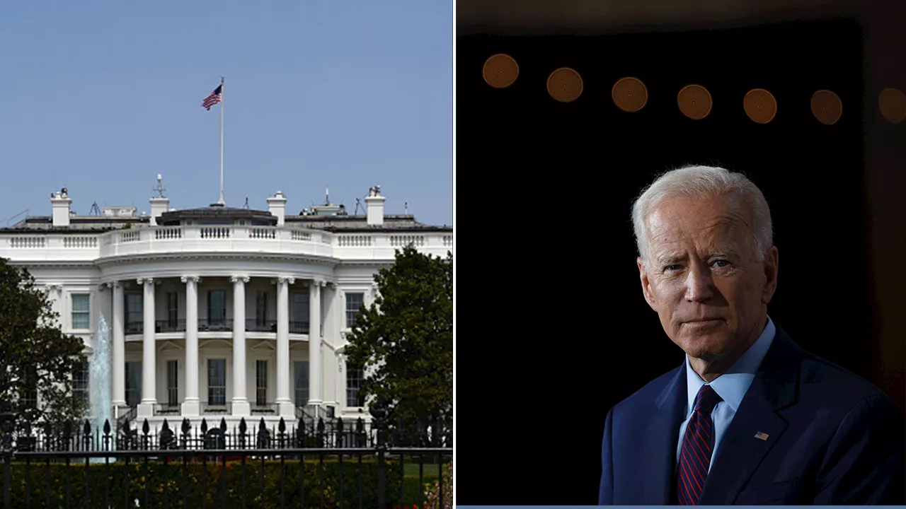 Former Obama official defends keeping Biden on ticket: 'Presidency is more than just one man'