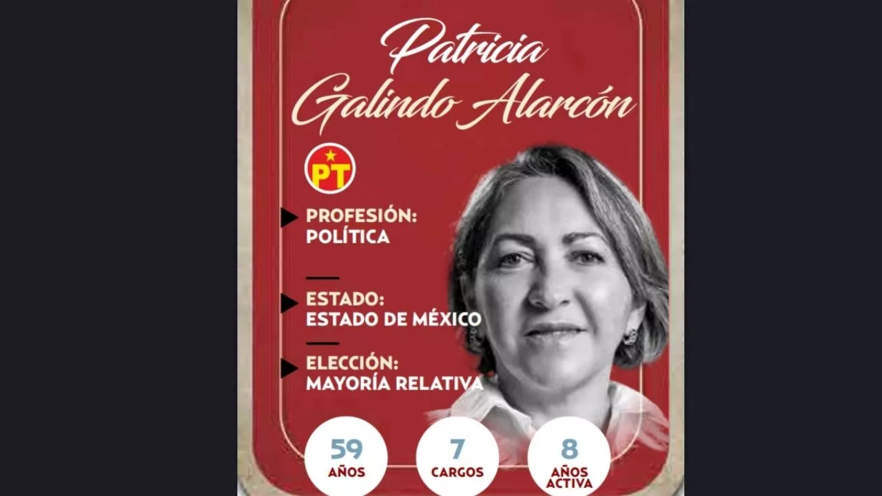 ¿Quién es Patricia Galindo Alarcón, conoce a la próxima diputada?