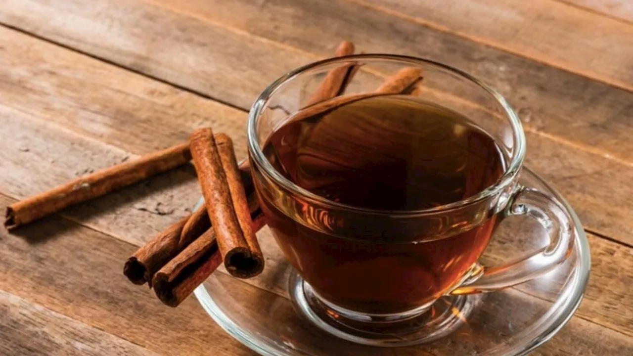 Té de canela: la bebida aliada del verano para quemar grasa, conoce todos sus beneficios