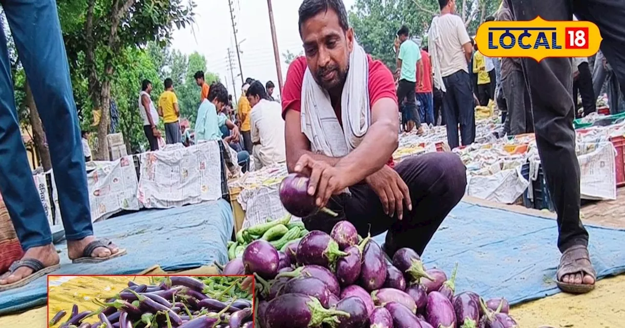 छोटा खेत...मोटी कमाई, इस तरीके से करें इन फसलों की मिश्रित खेती, खुल जाएंगे किस्मत के द्वार