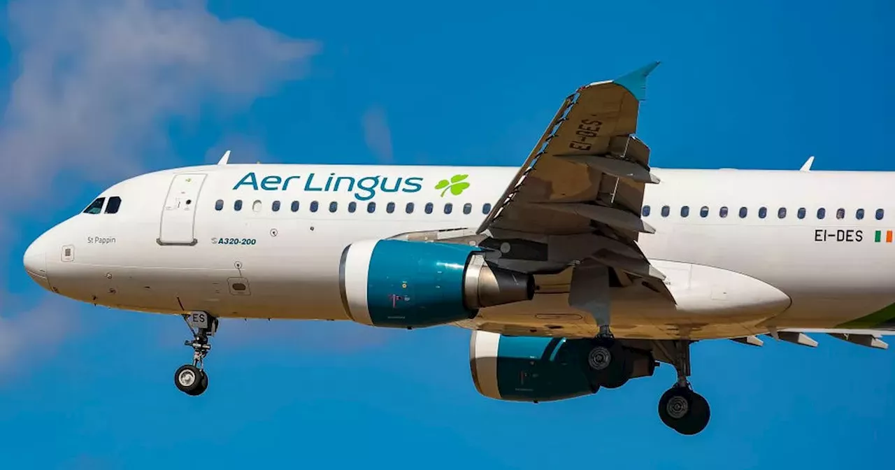 Aer Lingus accepts Labour Court’s recommended pay rise for pilots