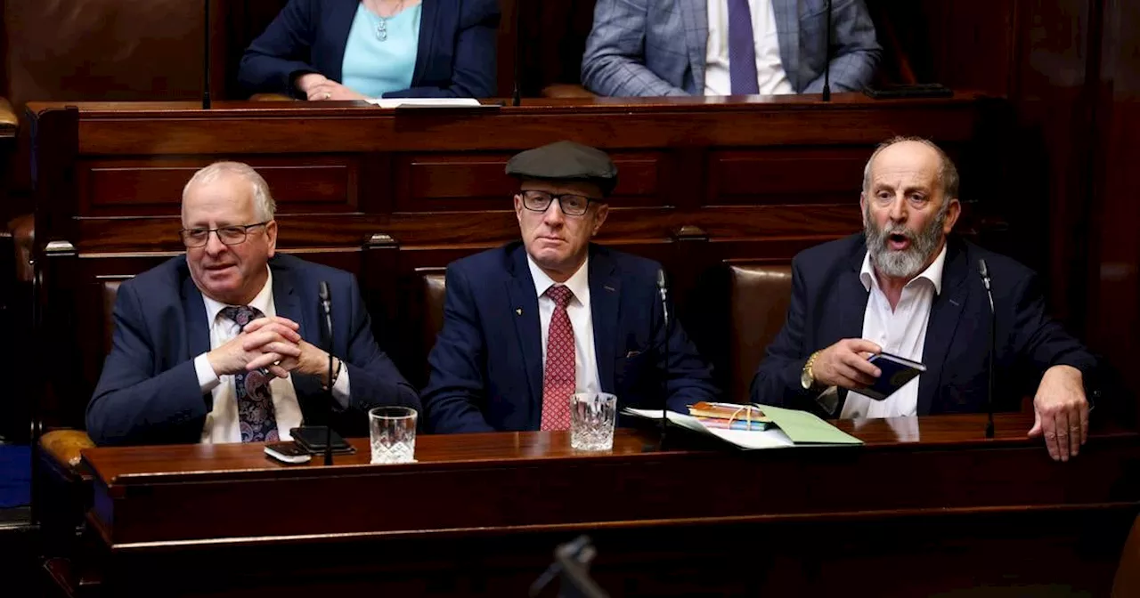 Michael Healy-Rae denounces ‘derogatory, political’ abuse of late mother online