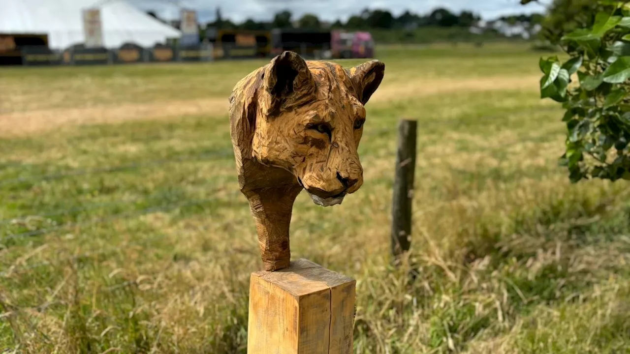 Exeter sculptures worth £10,000 stolen from their plinths on woodland trail