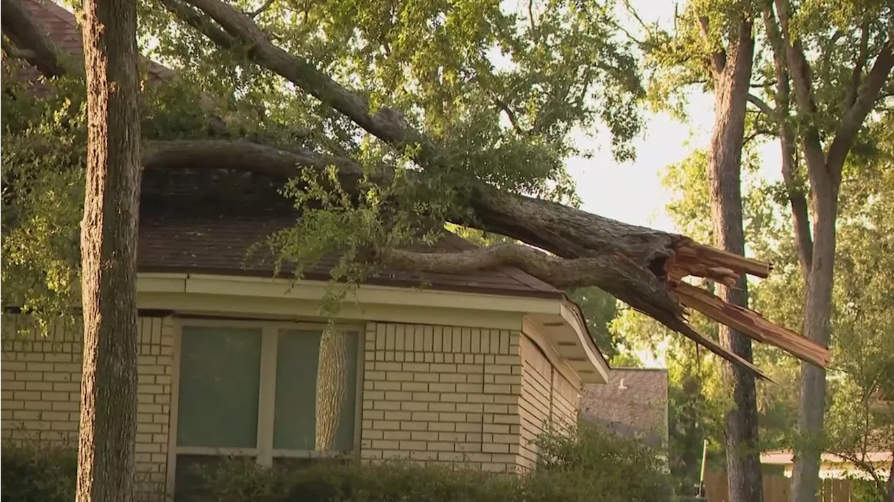 Fort Bend County in ‘recovery mode’ after Beryl, preparing for debris collection, officials say