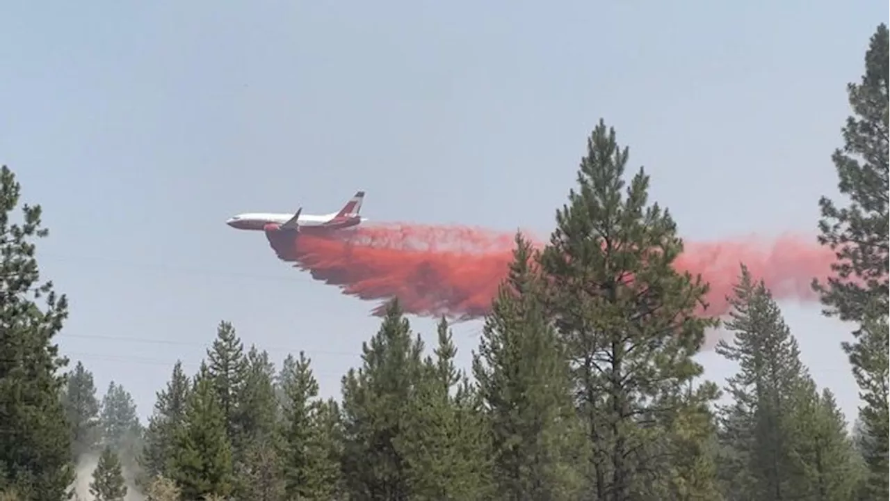 Much of Oregon 'red flag eligible' amid record-breaking heat wave, meteorologist says