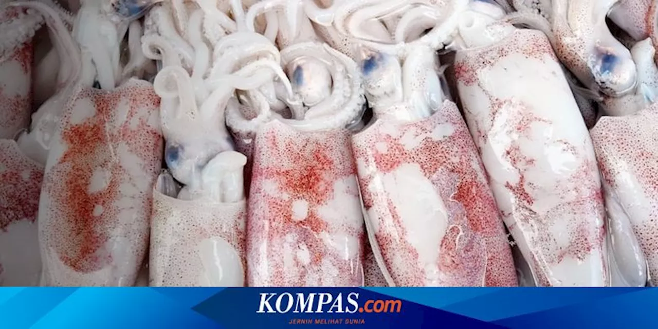 Cara Hilangkan Amis Saat Memasak Cumi, Rendam dengan Jeruk Nipis