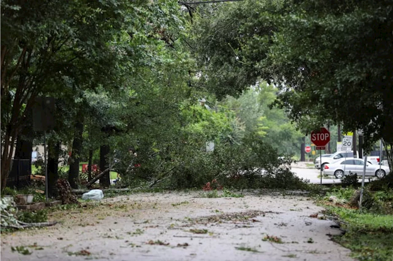 Useful tips on how to sort through storm debris during cleanup