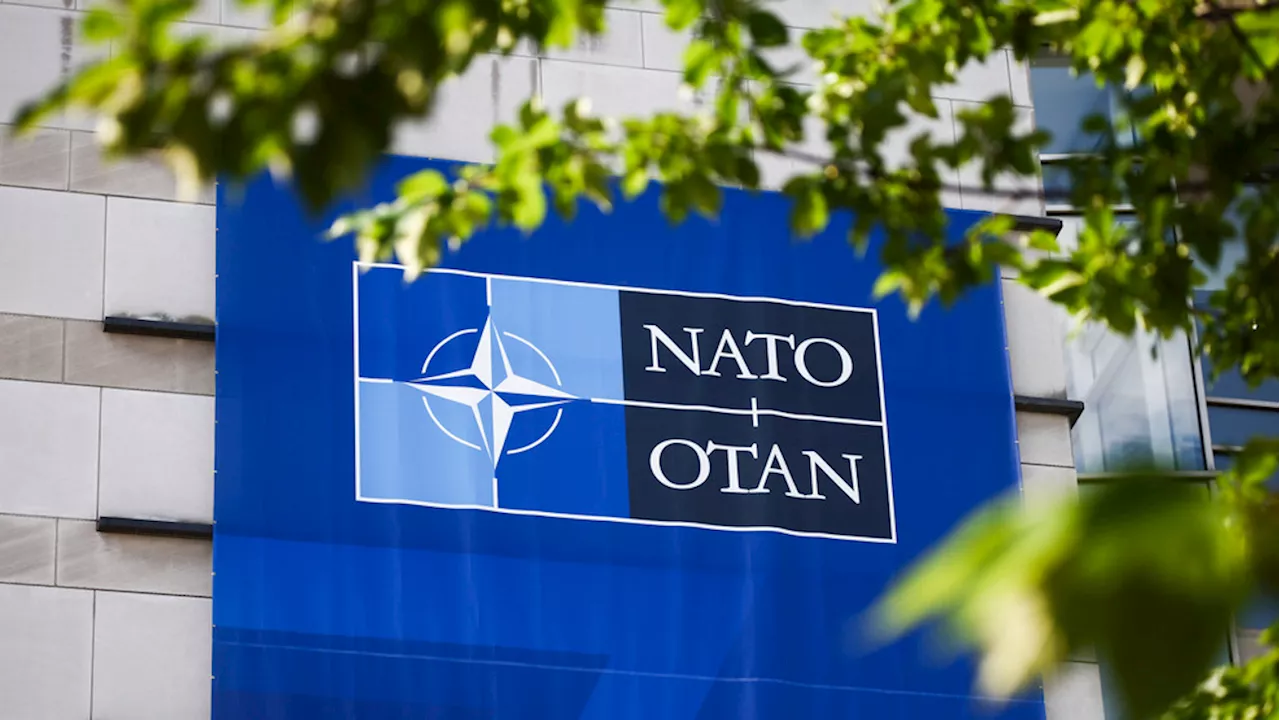 Fact Check Team: Why NATO's 75th anniversary is more relevant than ever