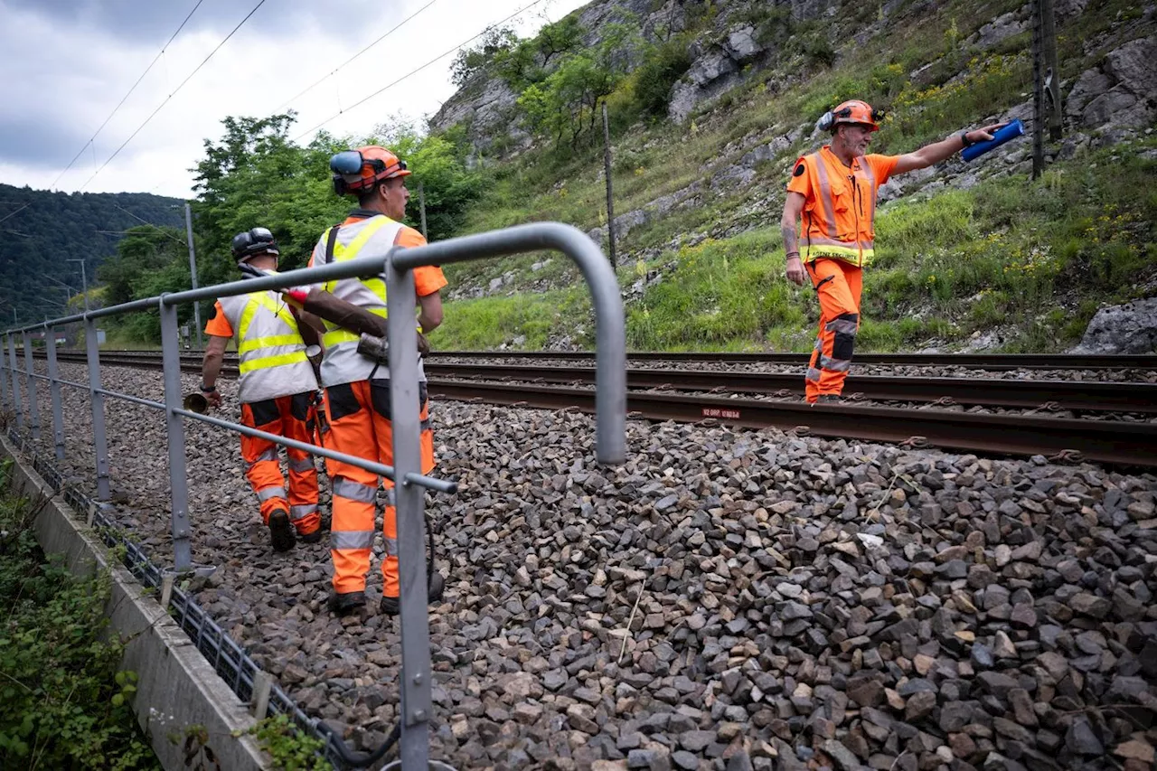 Prolifération de la végétation et précipitations abondantes: la SNCF mise au défi d'adapter son réseau