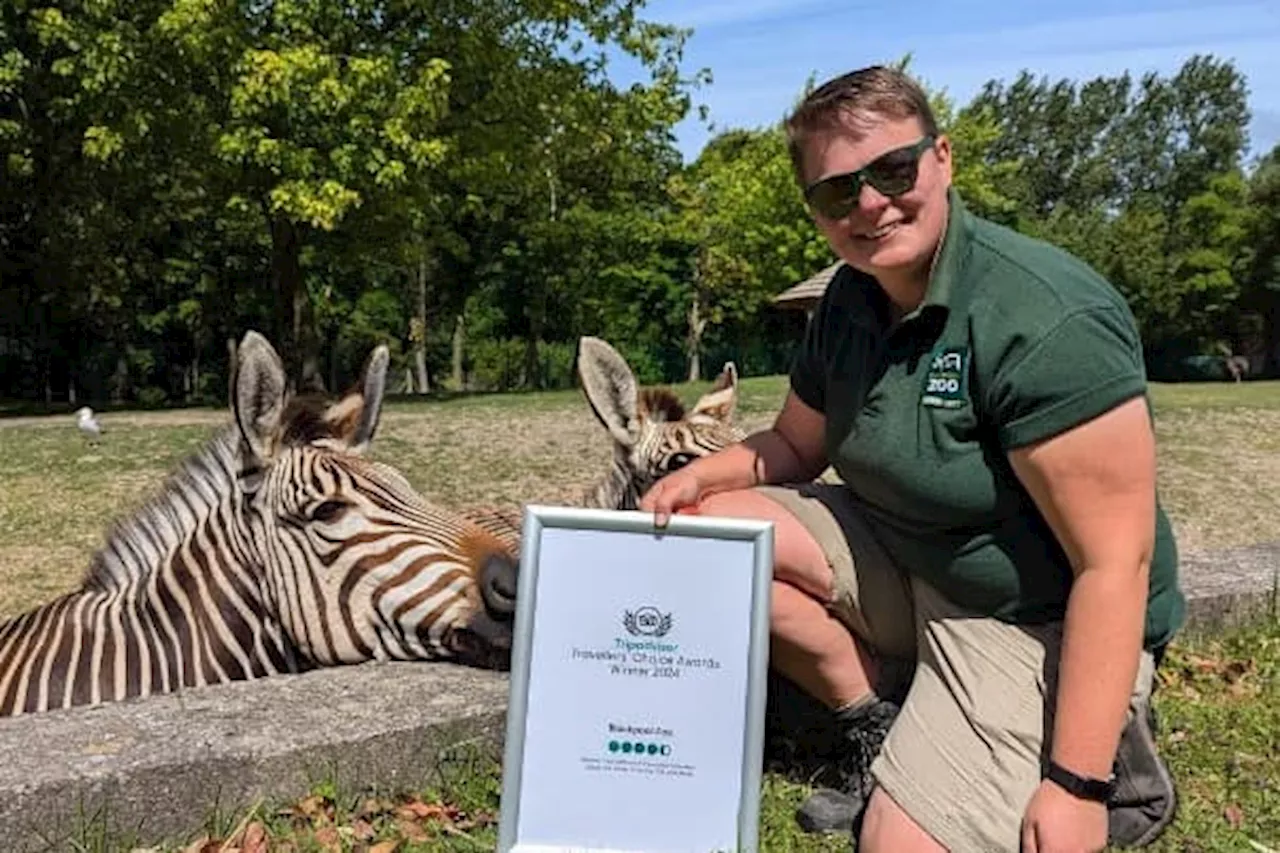 Blackpool Zoo celebrates Tripadvisor award as a top global attraction