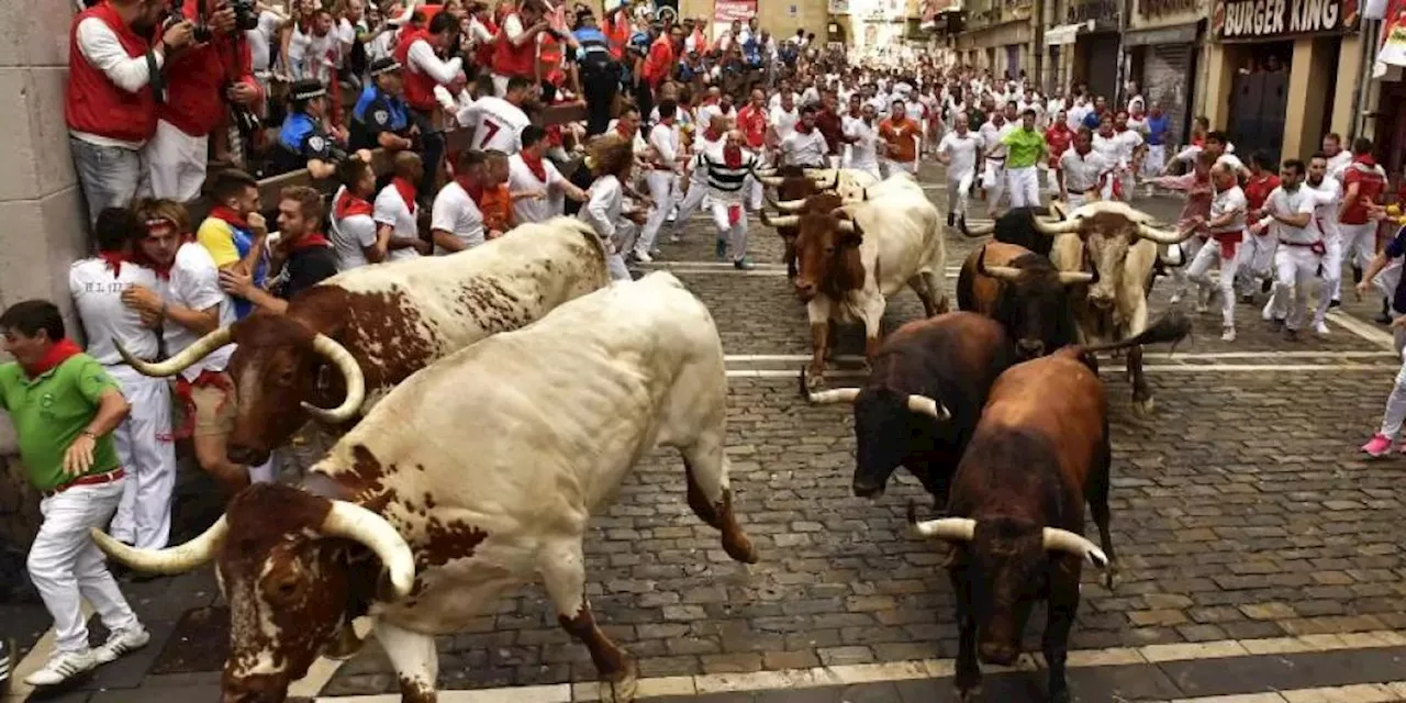 Stierhatz in Pamplona endet trotz übler Szenen glimpflich