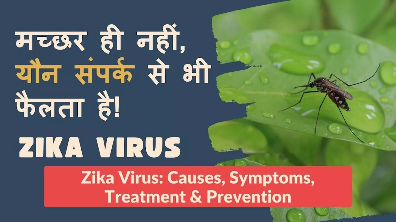 Zika Virus: क्यों, कैसे और किसे हो रहा है जीका वायरस, क्या हैं ज़ीका वायरस के लक्षण, कारण, इलाज और बचाव के उपाय