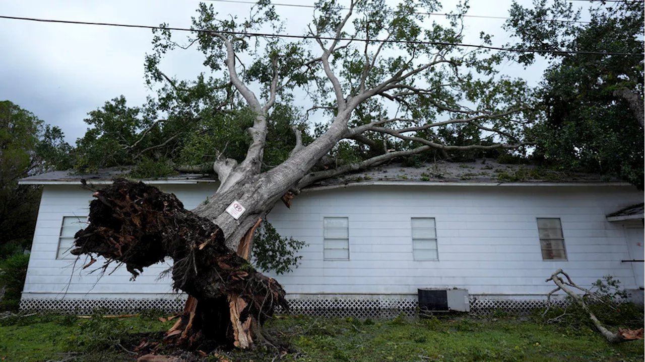 At least seven people dead as Beryl rips through Texas coast