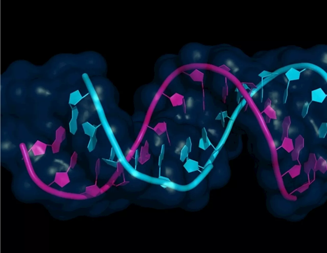 Agreement to explore Optimer vehicles for targeted delivery of siRNA