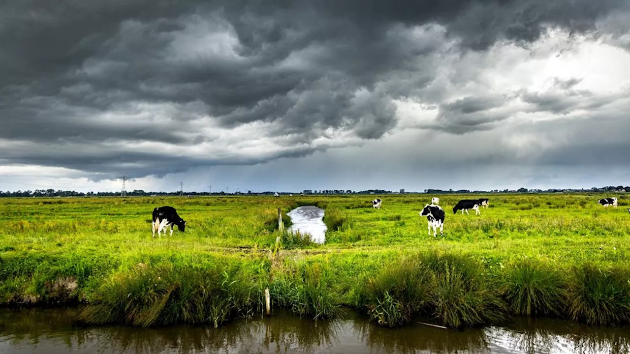 Vanaf namiddag code oranje in hele land vanwege onweer en zware buien