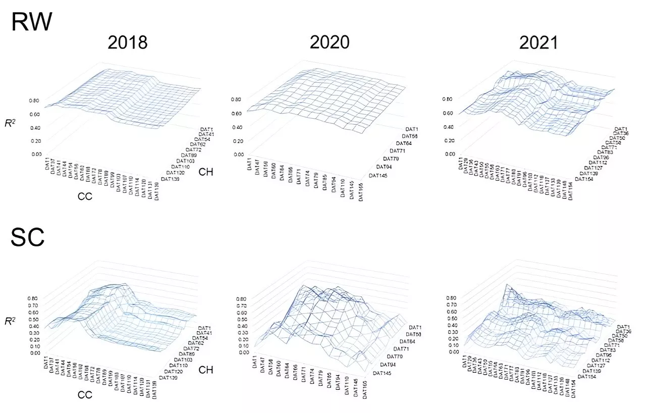 High throughput prediction of sugar beet root weight and sugar content using UAV derived growth dynamics