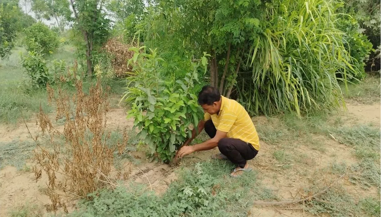 प्रकृति प्रेम…धरती को हरा-भरा बनाने का जुनून, पौधरोपण बना जीवन का ध्येय