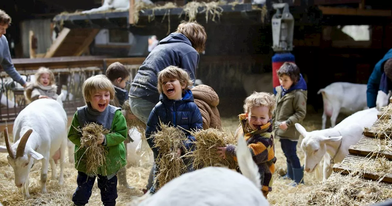 Kindergeburtstag auf dem Bauernhof in NRW: Preisen, Infos und mehr