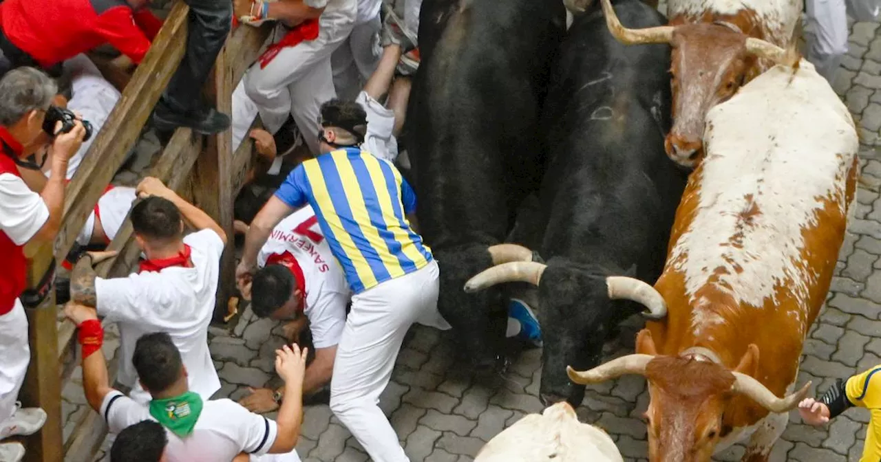 Pamplona 2024: Üble Szenen bei Stierhatz