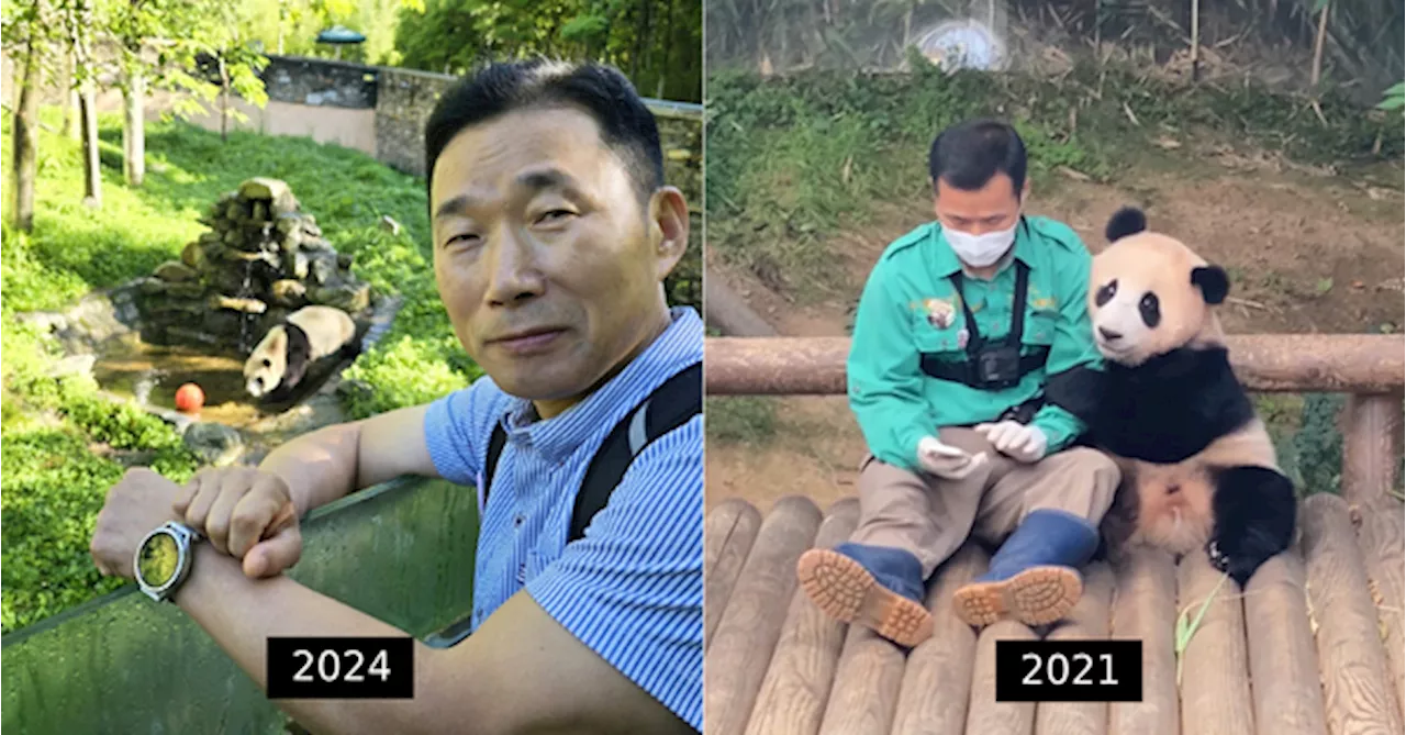 'I Came To See Fu Bao' — South Korean Zookeeper Reunites With 'Grandchild' Panda In China