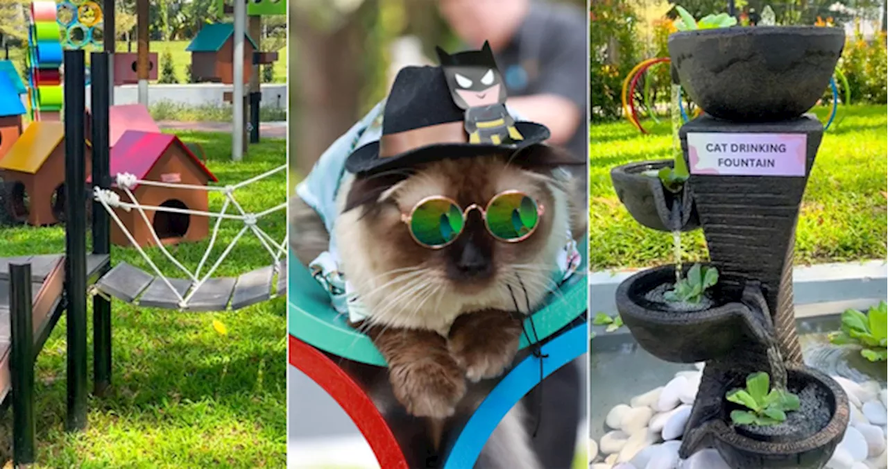 New Cat Park Opens In Shah Alam With Free Entry