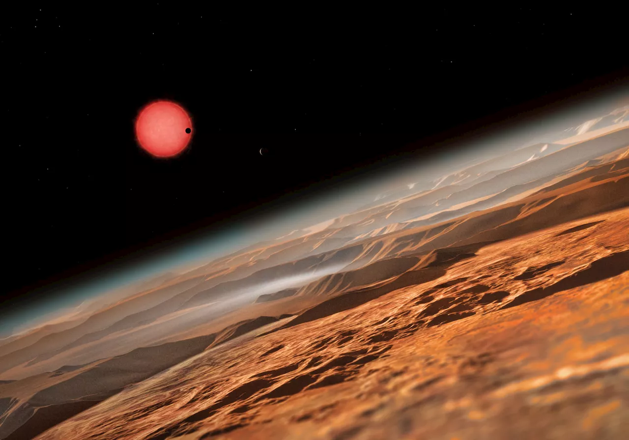 Could super-Earths or mini-Neptunes host life among the stars?