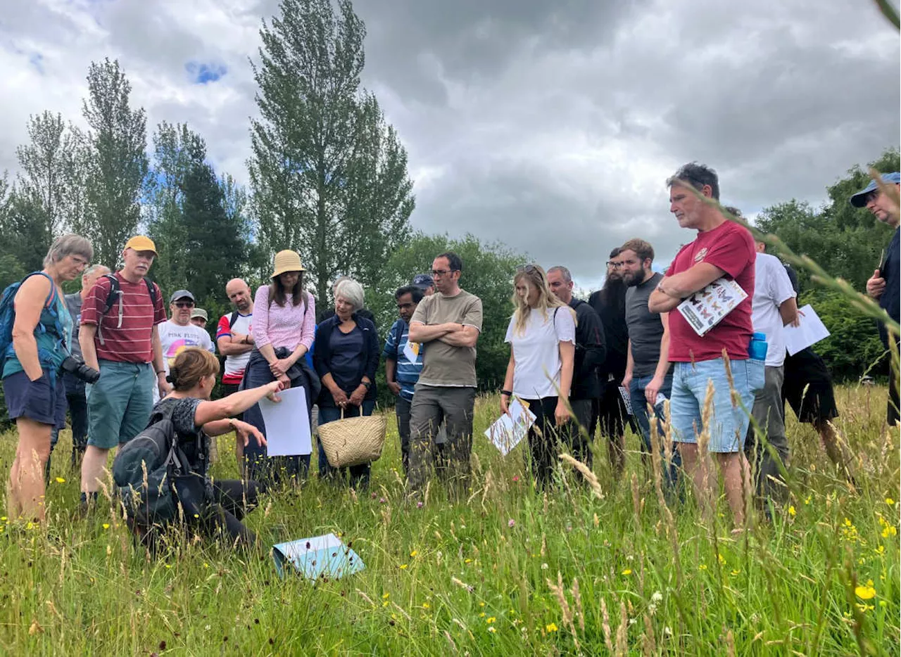 Volunteers join forces with Telford & Wrekin Council to help wildlife thrive