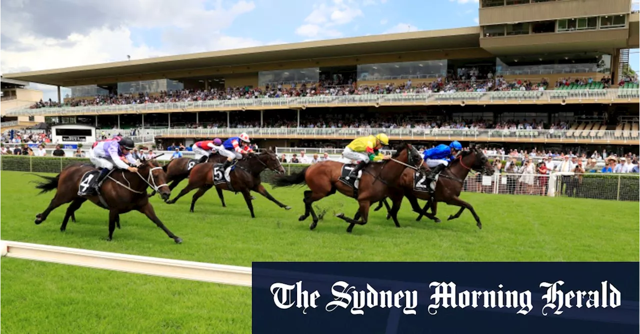 Race-by-race tips and preview for Warwick Farm on Wednesday