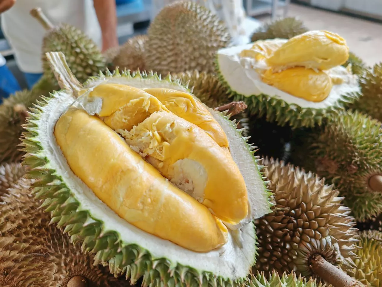 Mardi aims to cultivate 219 durian varieties in Kuala Kangsar