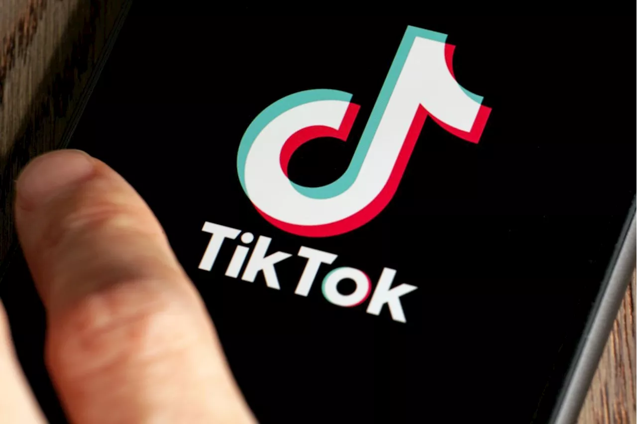 Report lodged over TikTok account misusing Selangor Raja Muda’s name