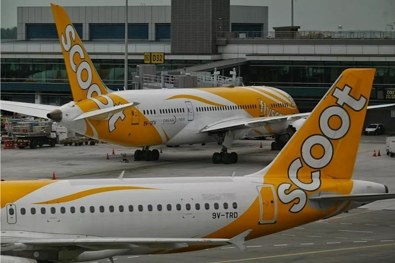 Singapore's Scoot to make six daily flights from Melaka airport