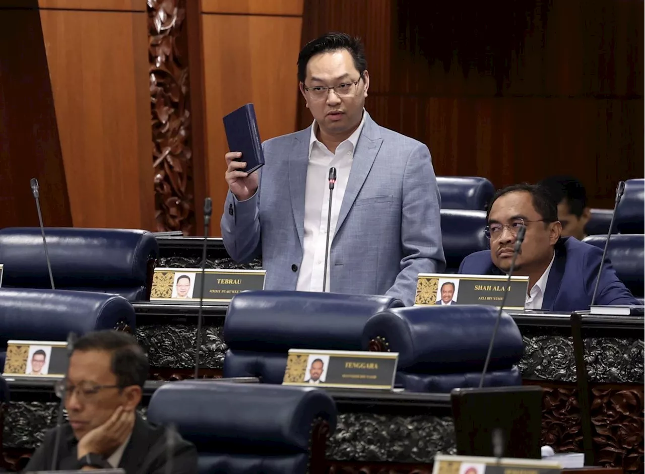 Tebrau MP calls for dissolution of National Council of Professors