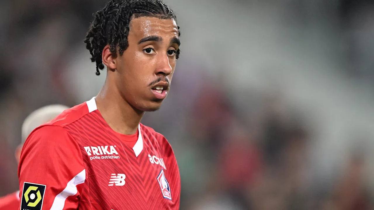 Rio Ferdinand makes public plea for ‘next Virgil van Dijk’ to join Manchester United...