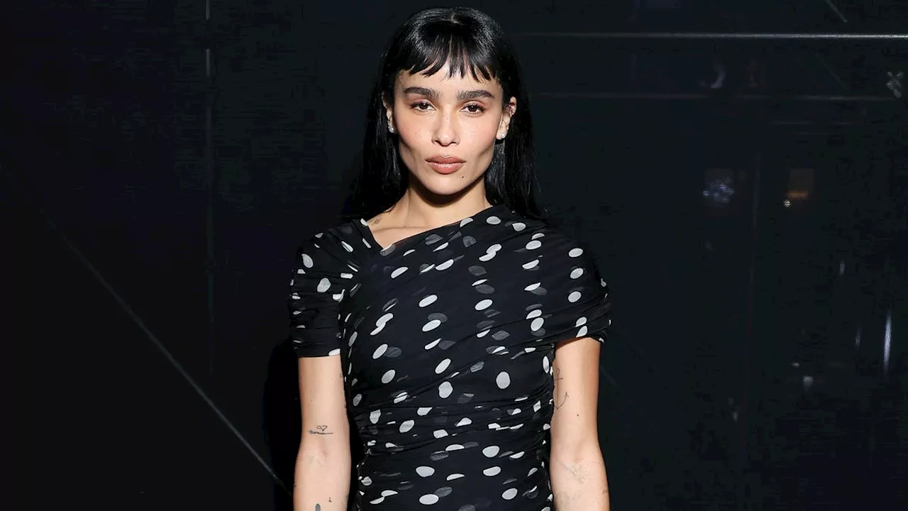 Zoë Kravitz says society just wasn't ready for a movie titled Pussy Island