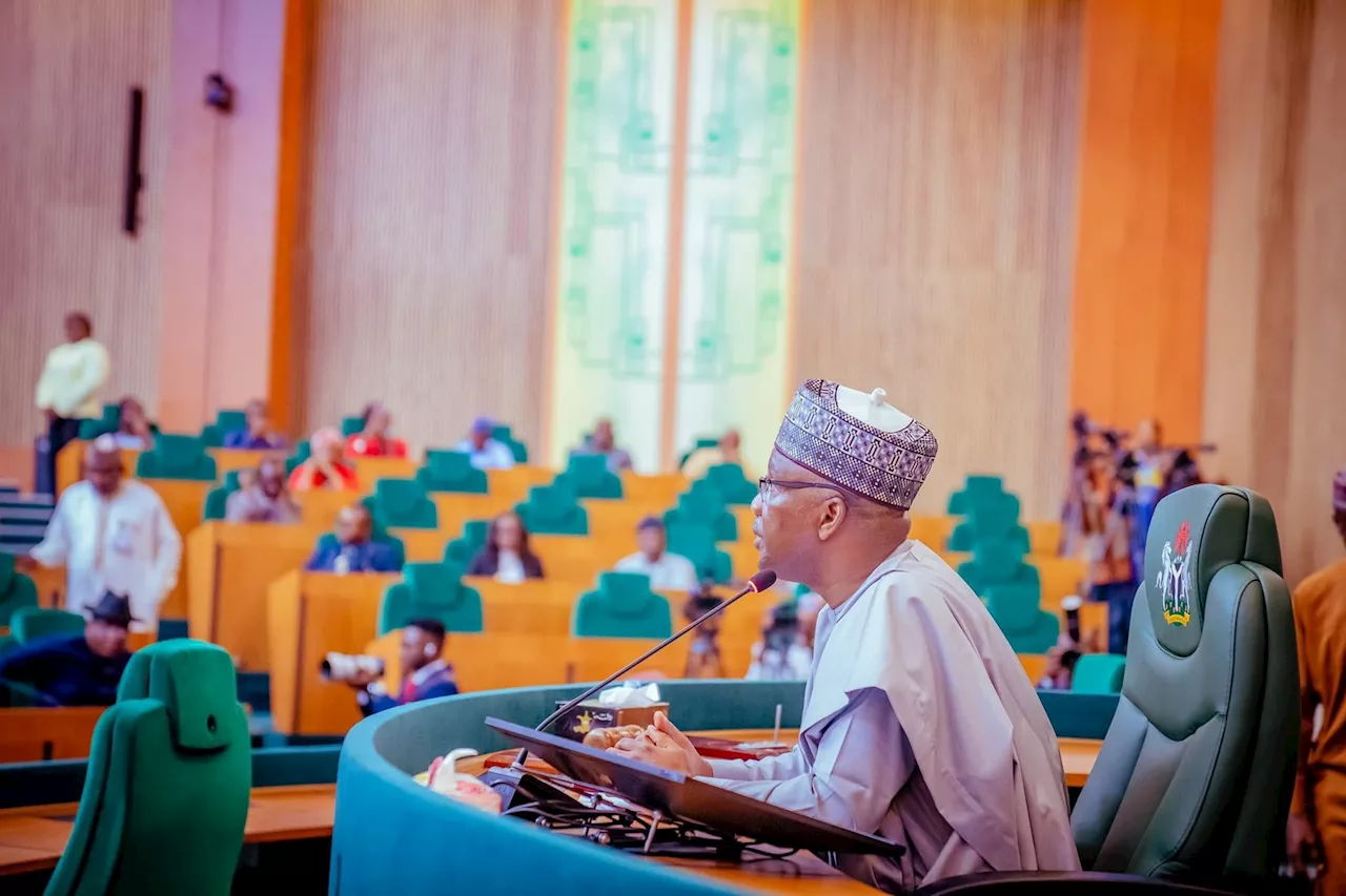 Bill to create 74 extra seats for women in n'assembly passes second reading