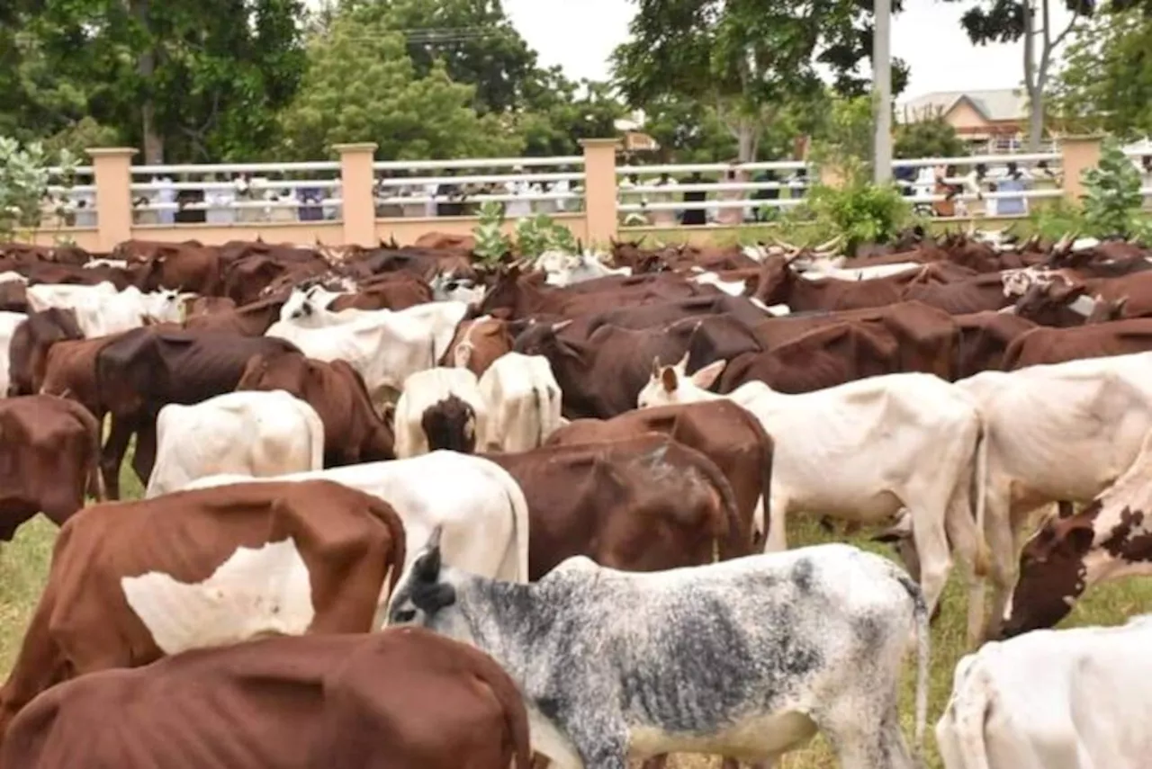 JUST IN: Tinubu creates ministry of livestock development