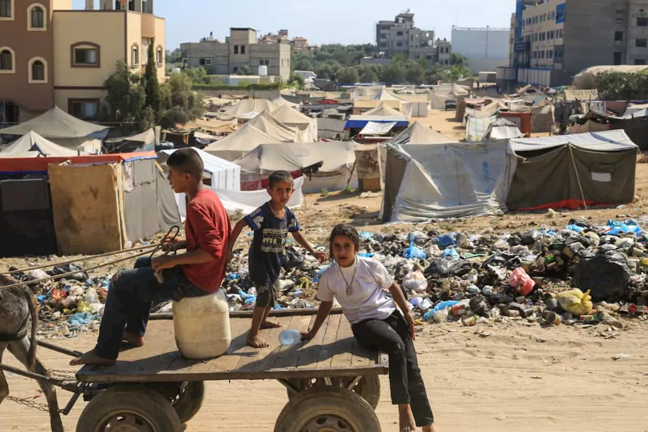 UN experts say Gaza children dying in Israel’s ‘starvation campaign’