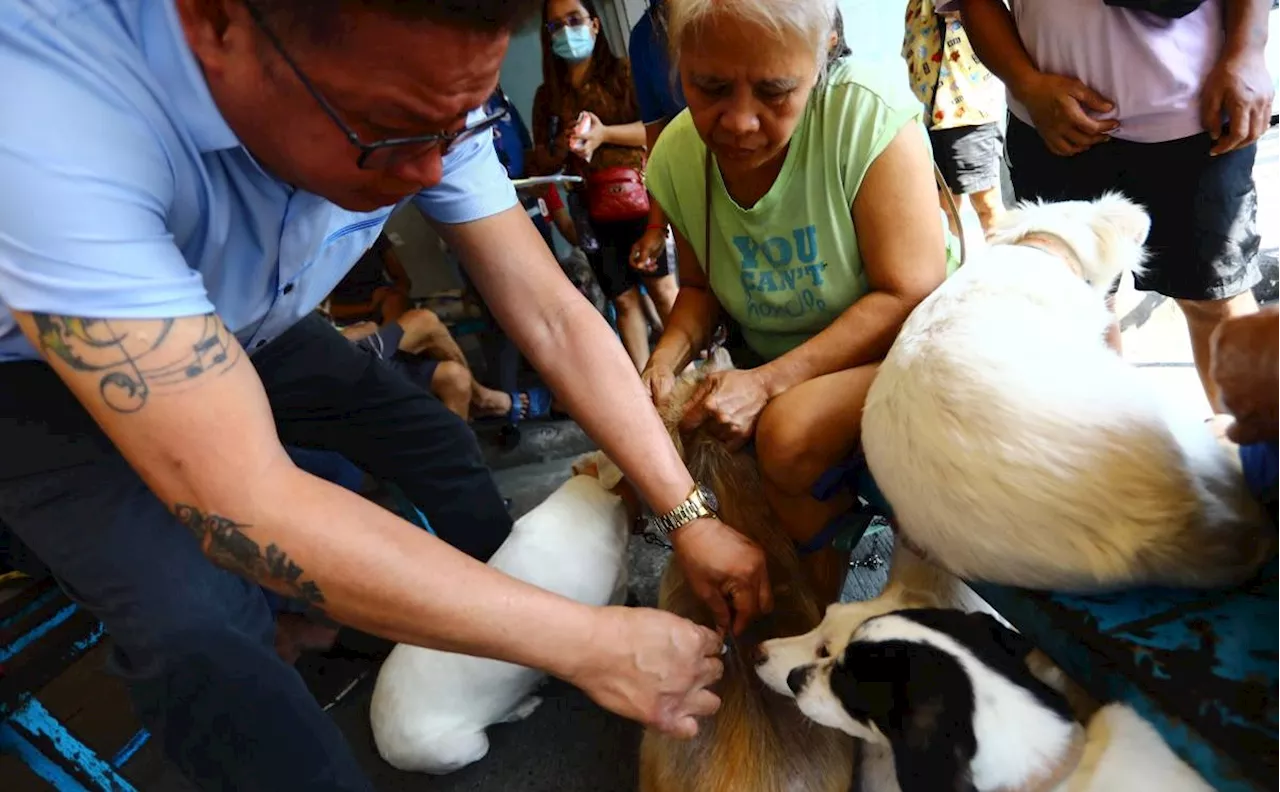 Pangasinan records high rabies death rate